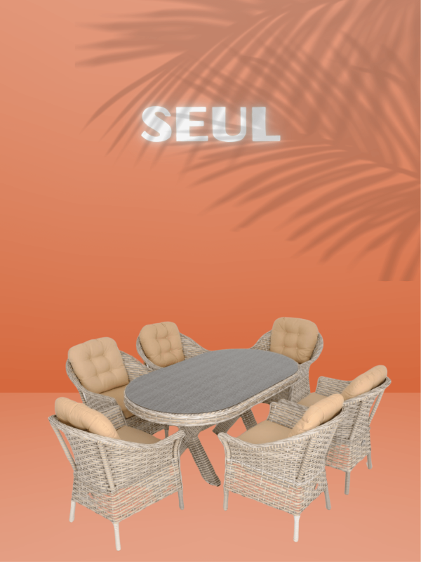Seul Masa Takımı
